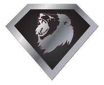 Lions Unleashed logo
