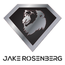 Lions Unleashed by Jake Rosenberg logo